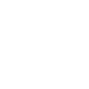 Turbo Tint Diamond Mind Training